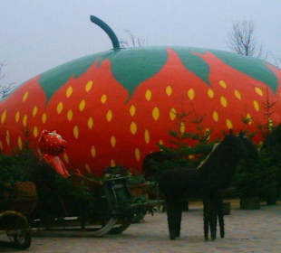 Erlebnishof Erdbeerdorf