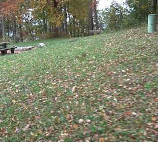 Grillstelle Untere Diepoldsburg