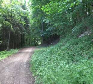 Premiumwanderweg "hochgelegen"