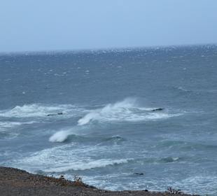 Beim Leuchtturm an der Südspitze 