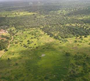 Masai Mara von oben