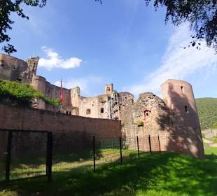 Schloss- und Festungsruine Hardenburg