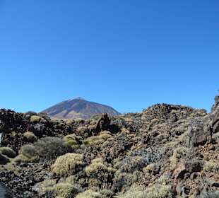 Teide 