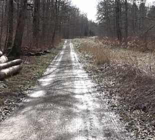 Gomaringer Rundweg - Zu den Giganten im Wald