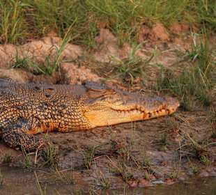 Kakadu NP