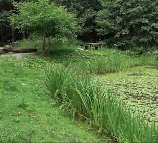 Sonnenaufgangs-Rundwanderung Rübgarten