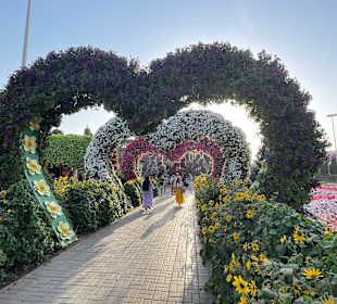 Dubai Miracle Garden