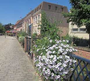 Niederbronn les Bains