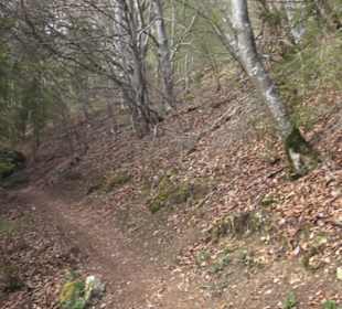 Wanderweg Hochgehswiggert