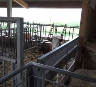 Erlebnisbauernhof und Wildgehege