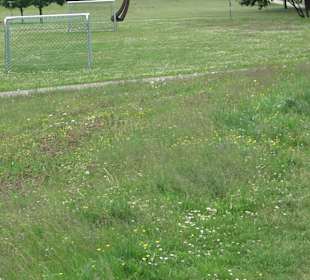 Sportplatz Empfingen