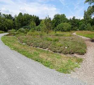 Rundgang durch den Ökologisch-Botanischen Garten