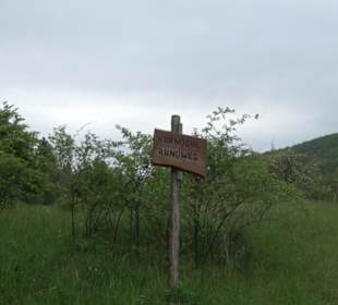 Berg Kornbühl Salmendingen