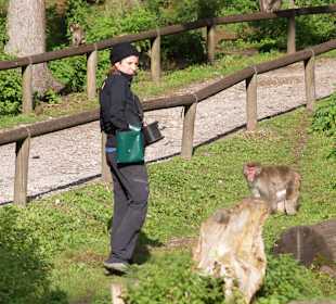 Top Führung auf dem Affenberg