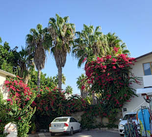 Strandpromenade Side