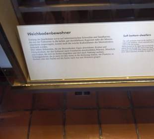 Jura-Museum