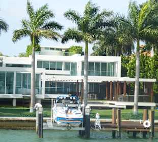 Palm, Star od. Fisher island