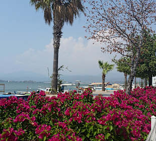Am Hafen von Fethiye