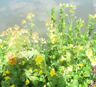 Botanischer Garten Augsburg