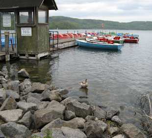 Der Laacher See