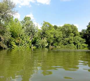 Der Kiessee von der Wasserseite