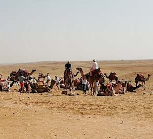 Reiten & Kamelreiten Dana Beach