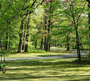 Eindrücke aus dem Prinz-Albrecht-Park