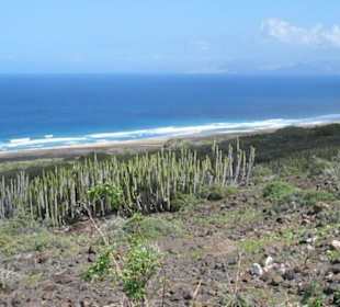 Rapa Nui Surfcamps Fuerteventura