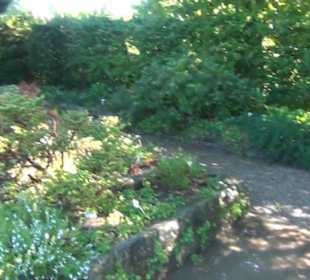 Steingarten - Berggarten