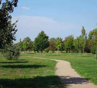 Der sommerliche Baumpark Thedinghausen