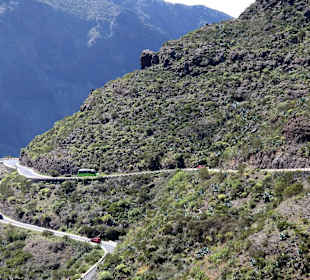 Teneriffa / Masca Schlucht