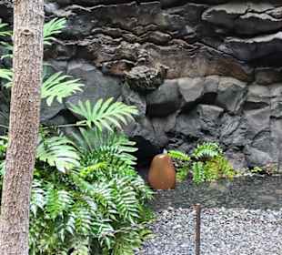 Museum Fundación César Manrique