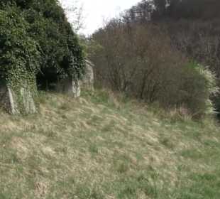 Friedhof Buttenhausen