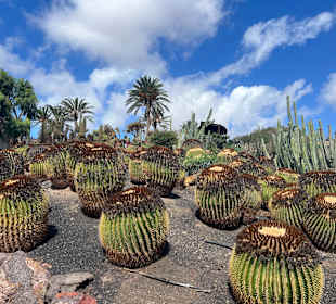 Kakteen-Park
