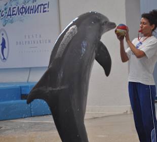 Delfinarium w Warnie