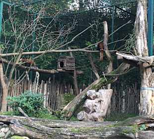Pandaart