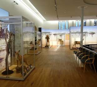 Blick in die Ausstellungsräume des Museums