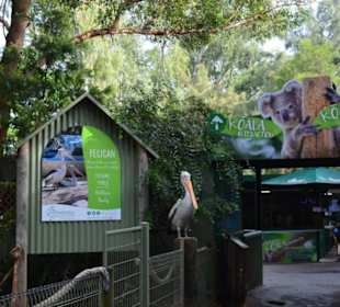Feather Dale Wildlife Park