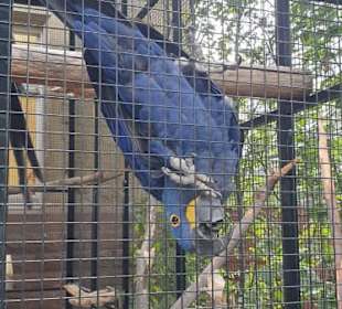 Bilder aus dem ZOO