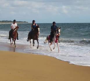 Private Rundreisen auf Sri Lanka -Shan Lanka Tours