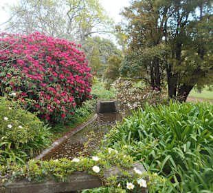 Palheiro Gardens