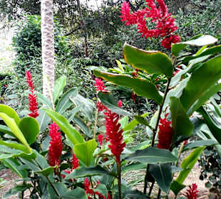 Laguna de agua sulfurosa