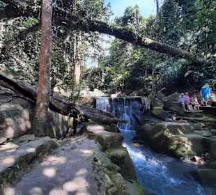 Magic Buddha Garden