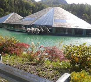 Wandern Fuschl am See