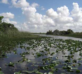 Everglades National Park
