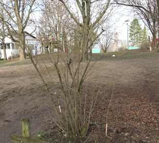 Spielplatz am Forum Großbettlingen
