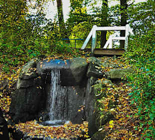 Парк Замка Ойтин.Золотая осень.