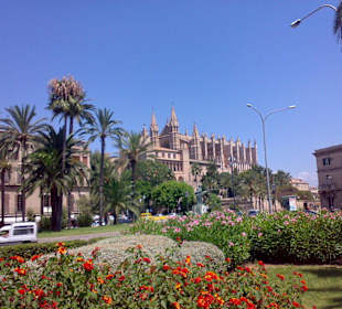 Kathedrale in Palma