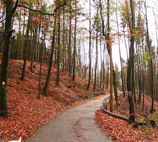 Moritzberg im Herbst