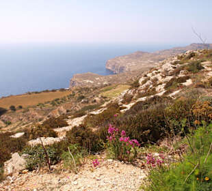 Dingli Cliff